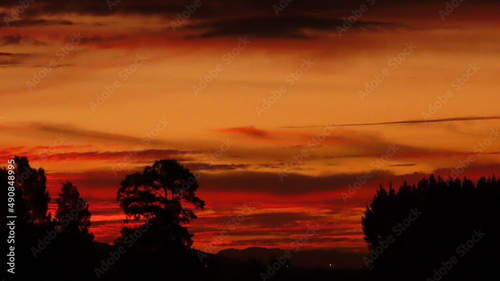 Fototapeta premium とある日の夕日