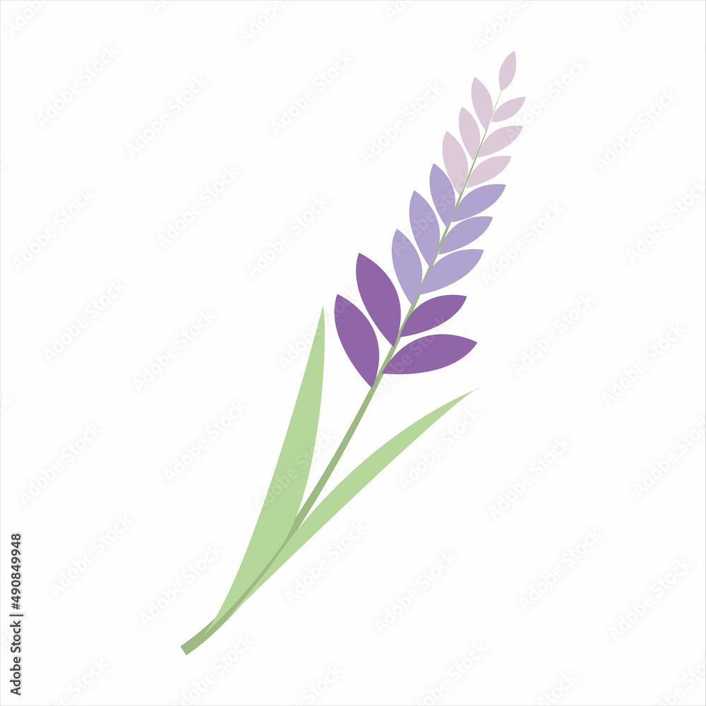 Obraz premium spring flower