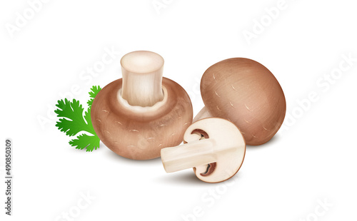 Brown mushrooms vegetable vector illustration with slice of mushroom vegetable