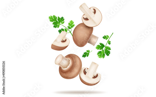 Flying delicious mushrooms vegetable with mushroom slices and pieces with coriander leaves isolated on white background