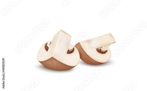 Brown mushroom vegetable slices vector illustration