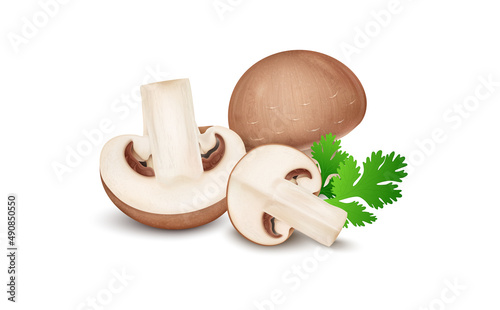 Brown mushroom vegetable with half mushroom pieces and slices with coriander leaves- vector illustration