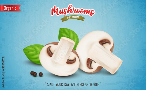 Mushroom vegetable slices with basil leaves- vector illustration