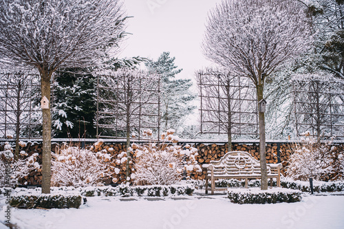 Nowoczesny ogród zimą z zaśnieżoną ławeczką i drzewami 