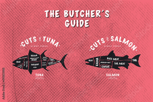The butcher's Guide, Cut of Tuna and salmon