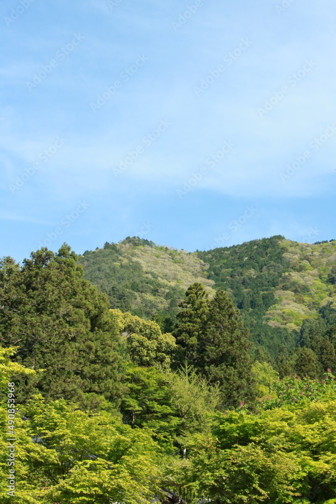日本の春の美しい風景　兵庫県丹波市の新緑の山