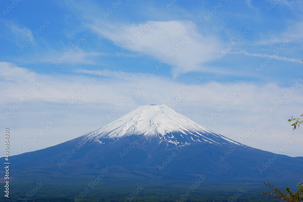 日本、静岡県、春、新倉山から見る富士山