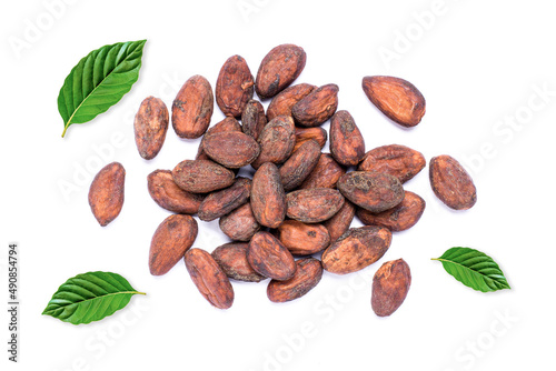 Cocoa bean or cacao beans with green leaves isolated on white background. Top view. Flat lay.
