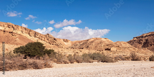 ruins of the Nabatean Metzad Nekarot fort on a hill above the dry Nekarot stream bed in the Spice Route in Israel with a giant acacia tree in the foreground and a blue sky background