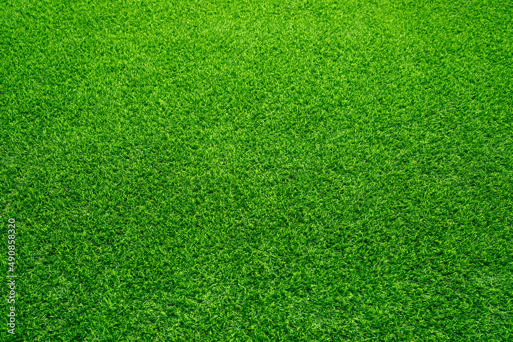 Fototapeta premium lawn at home increase green space Increase oxygen, reduce glare.and help alleviate the spread of dust well 