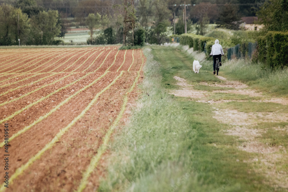 personne à vélo en train de promener son chien sur un chemin de campagne