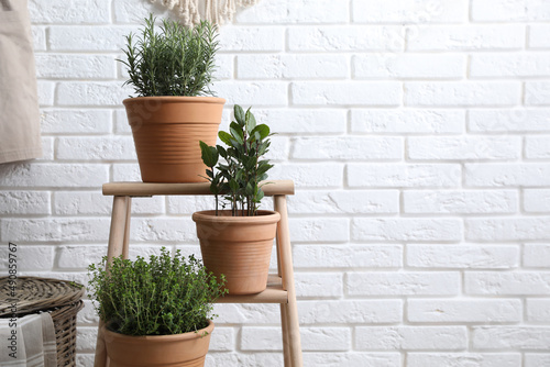 Different aromatic potted herbs near white brick wall indoors. Space for text © New Africa