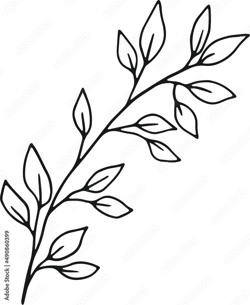 Fototapeta premium collection forest fern eucalyptus art foliage natural leaves herbs in line style. Decorative beauty, elegant illustration for design: Vector flower Botanical