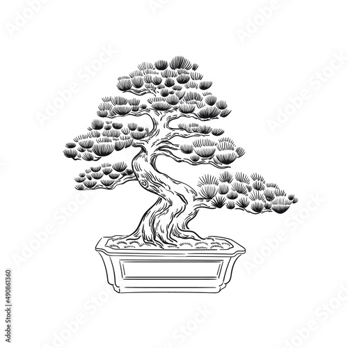 Black and white bansai isolated on white background. Stock vector illustration.Japanese concept. photo