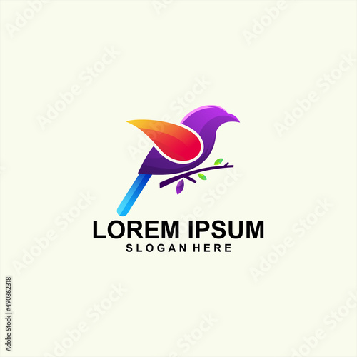 Bird color logo design modern template