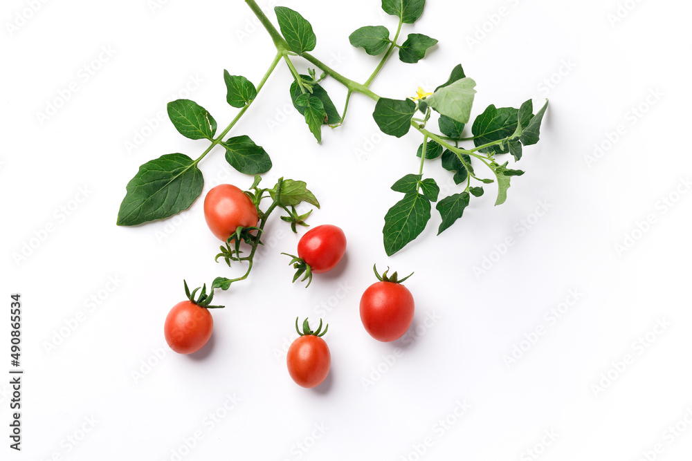 Cherry tomatoes with leaves isolated on white background