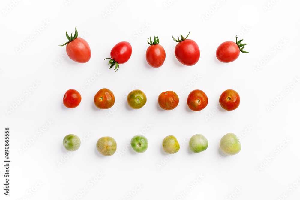 Group of tomatoes isolated on white background Group of tomatoes isolated on white background