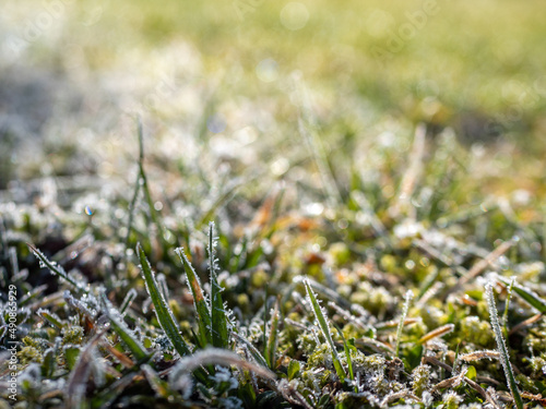 Wiese im Winter am Morgen © Animaflora PicsStock