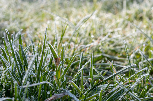 Wiese am Morgen mit Frost © Animaflora PicsStock
