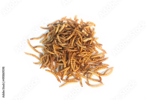 Dried Meal Worms in Heap or Pile in Top Down or Bird's Eye View Isolated on White