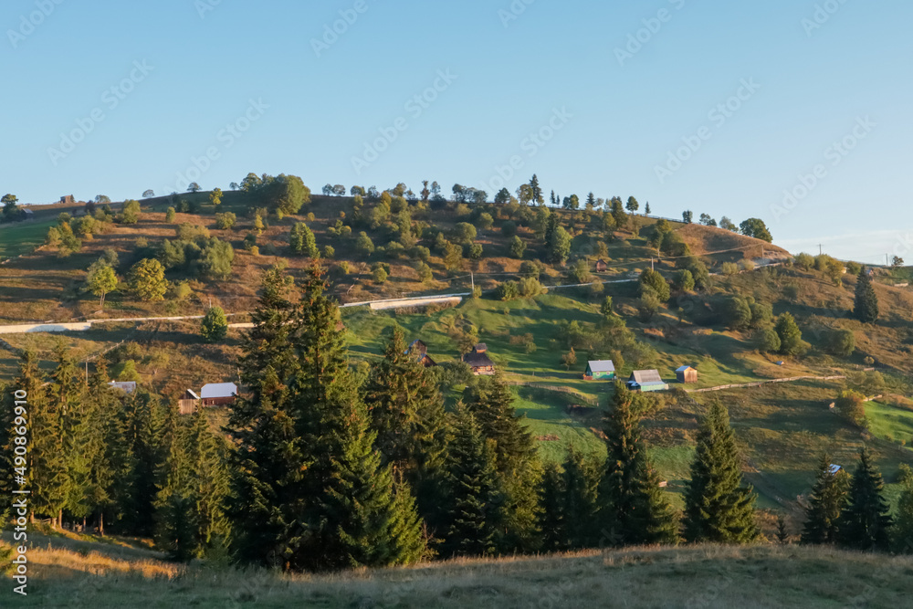 Landscape of coniferous trees and mountains in Romania