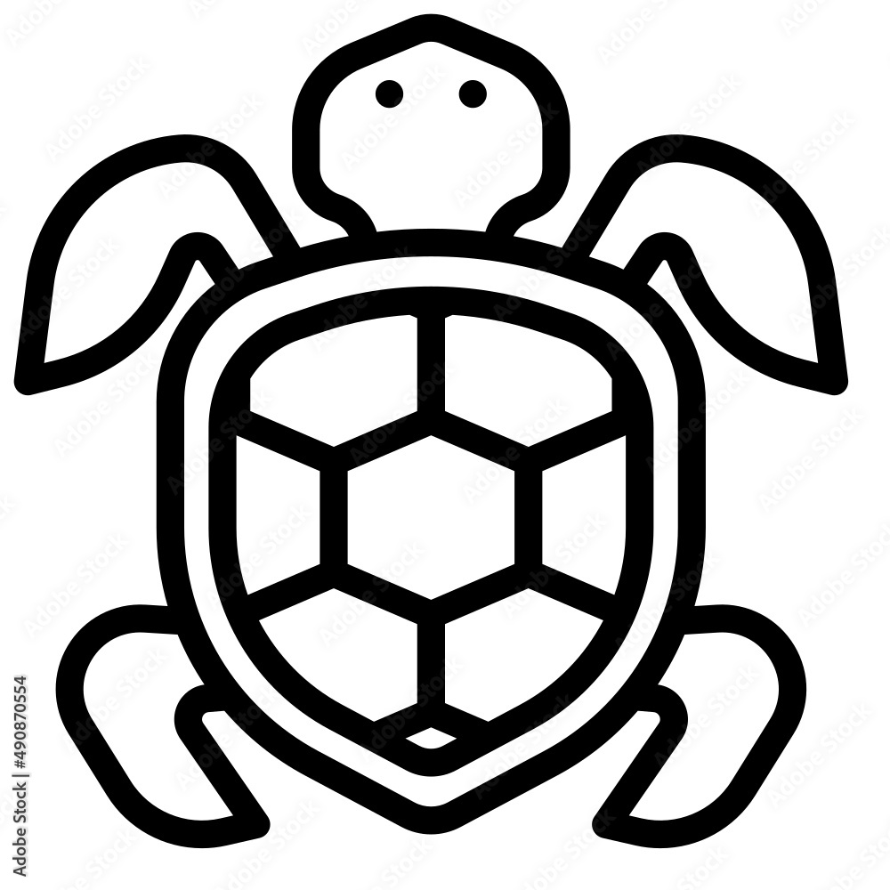 Obraz premium turtle