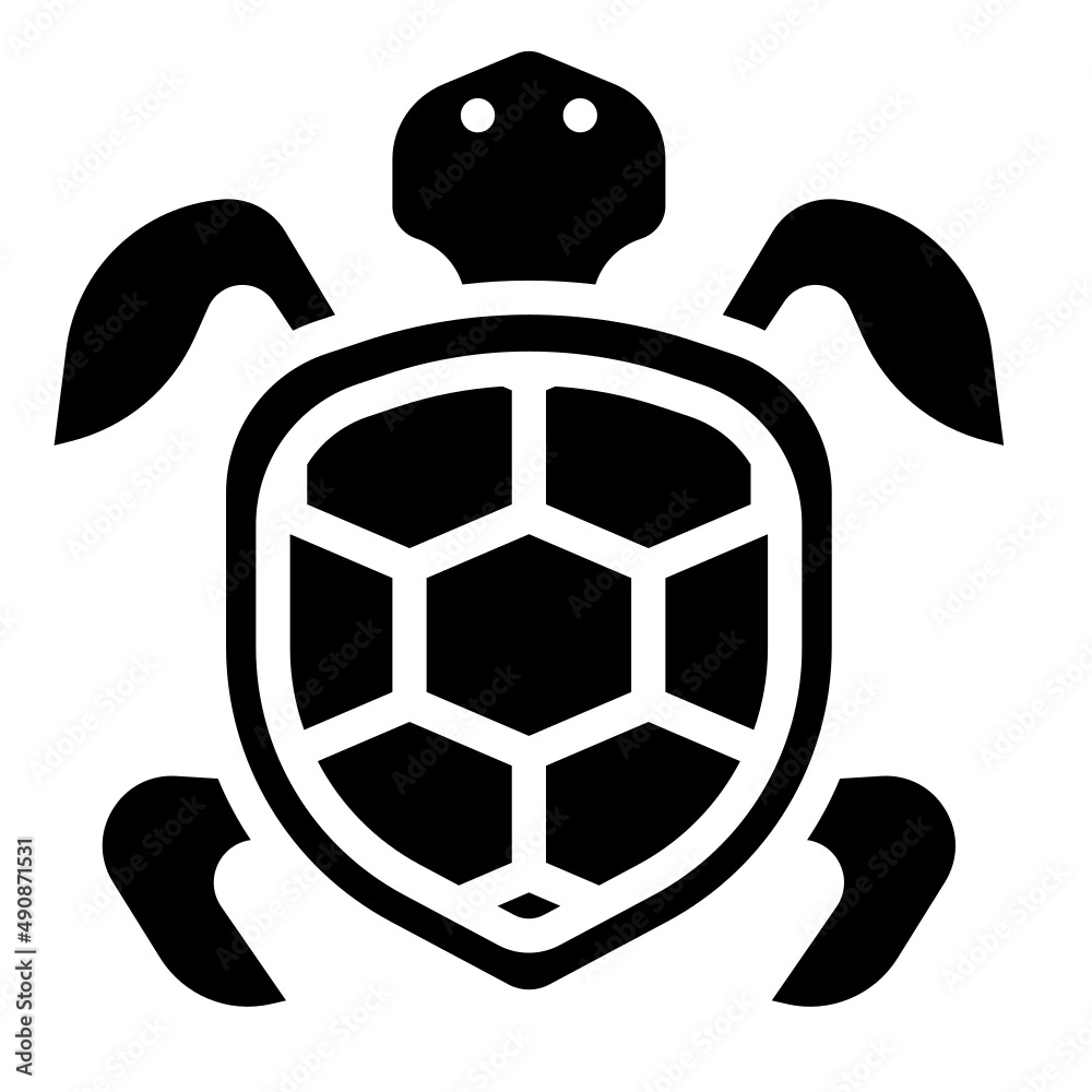 Obraz premium turtle