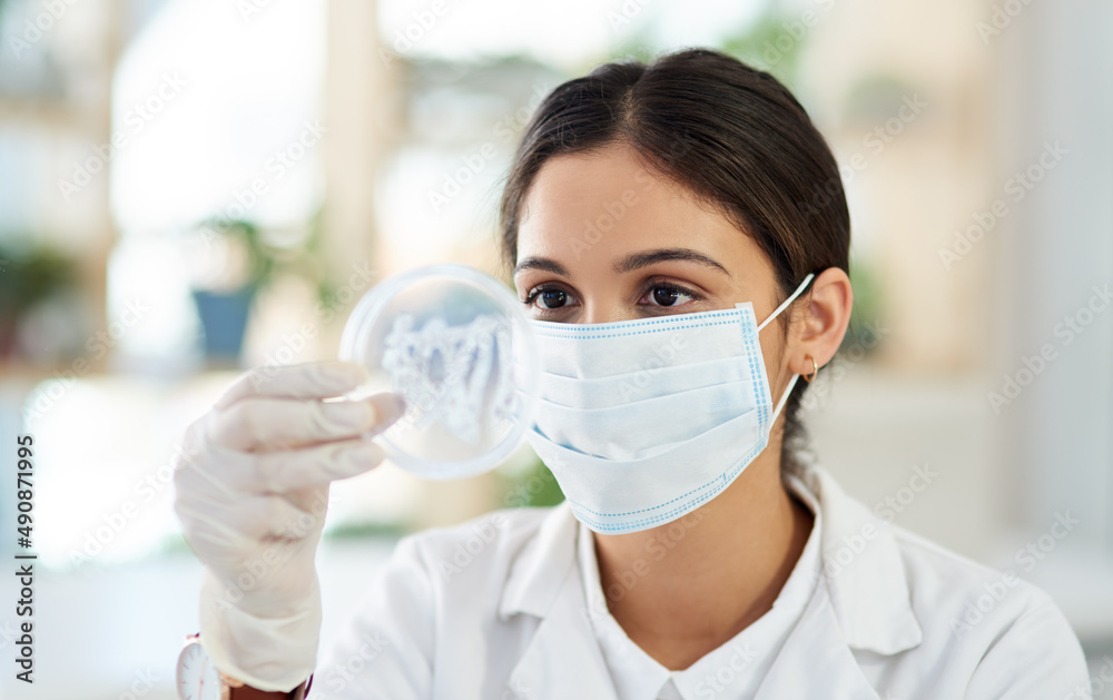 Shes noticed something interesting.... Shot of a young scientist analysing samples in a petri dish in a lab. Shes noticed something interesting.... Shot of a young scientist analysing samples in a petri dish in a lab.