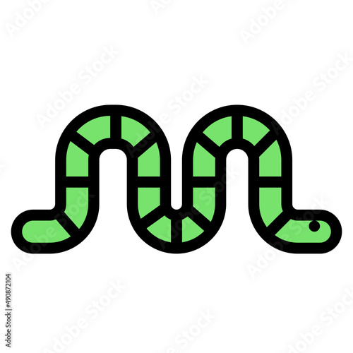 worm