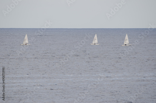 Lateen sailing boats in the sea. Los Cristianos. Arona. Tenerife. Canary Islands. Spain.