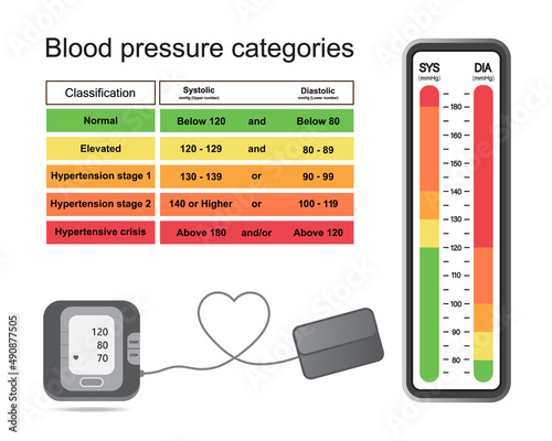 Periodic table of blood pressure categories infographic isolated on white background.Stage of hypertension disease.Blood pressure monitor.Concept for heart medical health care.Vector.Illustration. photo