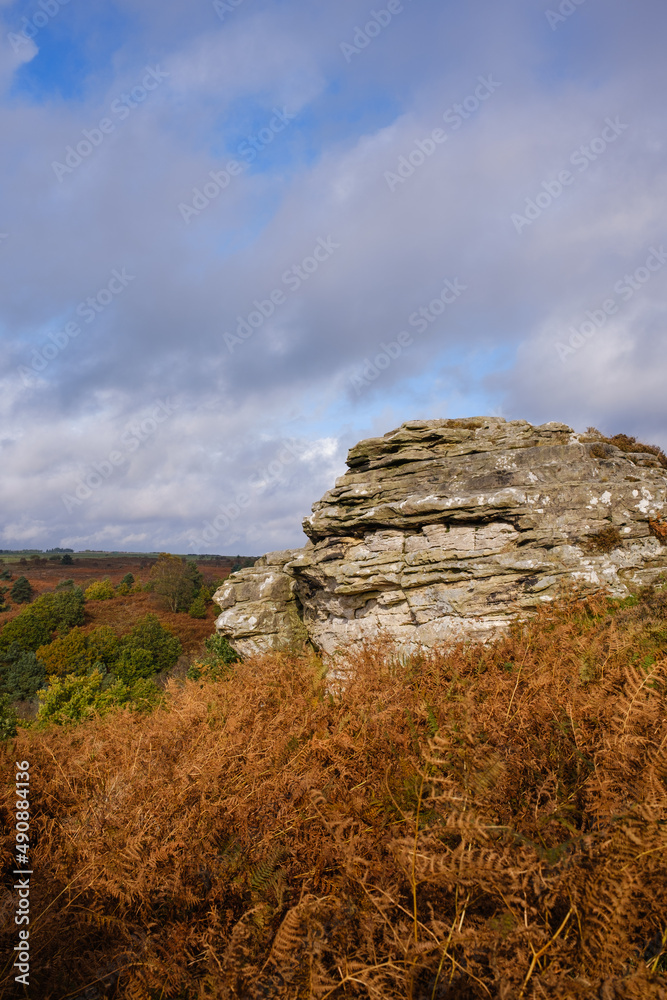 Fototapeta premium landscape with rocks
