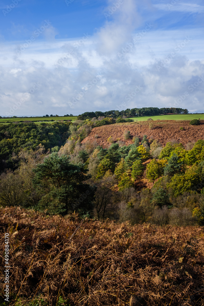 Fototapeta premium landscape in the countryside