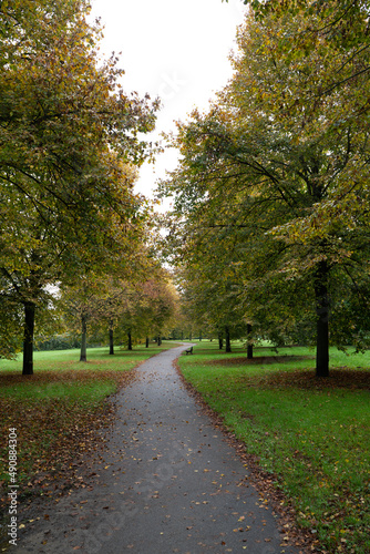 Wallpaper Mural Fuß und Radweg durch einen Naturpark Torontodigital.ca