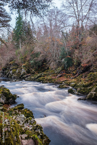 river in the forest