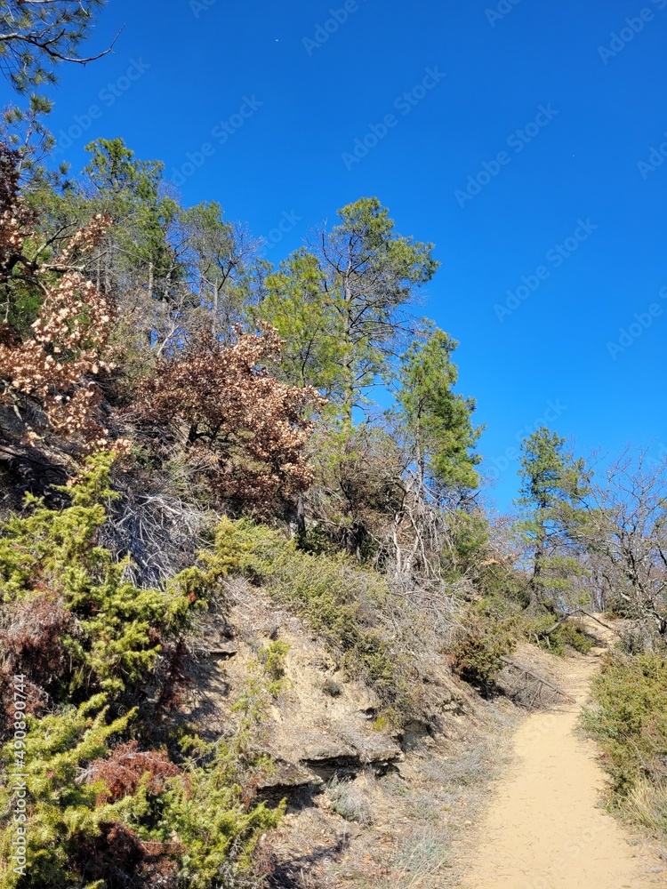 Obraz premium Promenade 