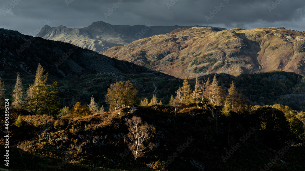 Holme Fell is a fell in the English Lake District in Cumbria, England. It is located between Coniston Water and Little Langdale. Autumnal scene with views to the Langdale Pikes