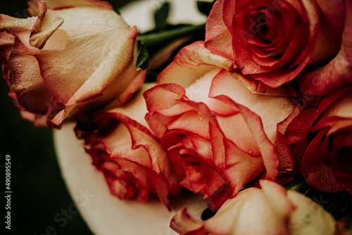 close up of roses with drops