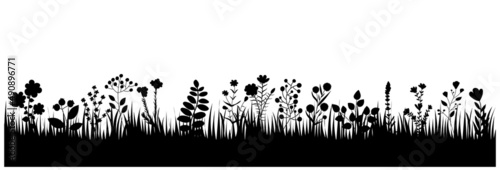 silhouette grass, plants silhouette isolated vector