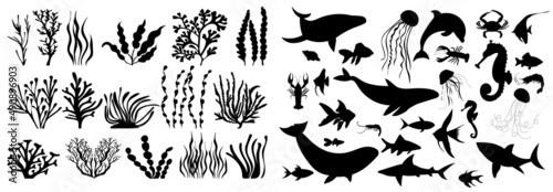 Fotografie, Obraz set of algae fish black silhouette isolated vector