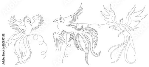 phoenix bird drawing in one continuous line, isolated vector