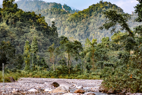 Subtropical forest in Bhutan