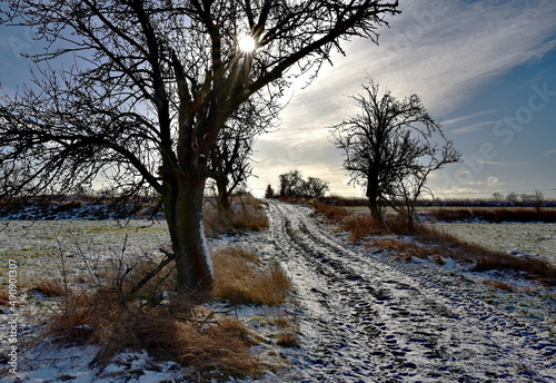 Rieselfeld bei Schenkenhorst, Gemeinde Stahnsdorf, im Winter