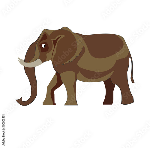 elephant on a wooden background,elephant cartoon isolated on white, Cartoon elephant vector isolated on white background