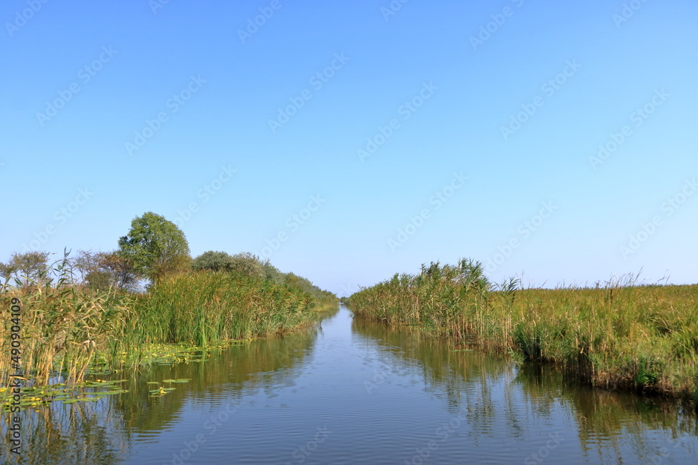 a small river channel in the Danube Delta a small river channel in the Danube Delta