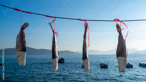 Quadro su tela Salted fish hang at the coast of Peng Chau