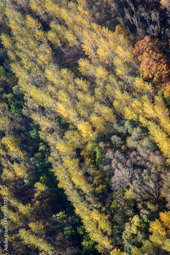 vue aérienne de la forêt à l'automne à Longpont dans l'Aisne en France photo