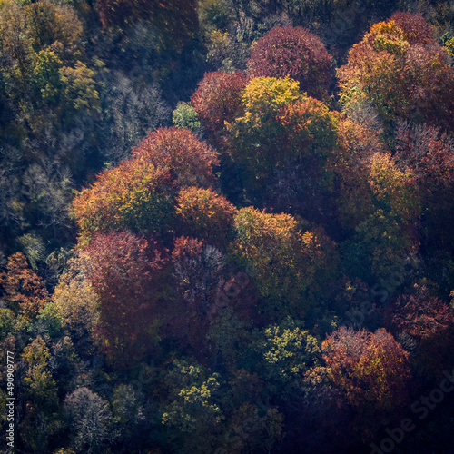 vue aérienne de la forêt à l'automne à Longpont dans l'Aisne en France photo