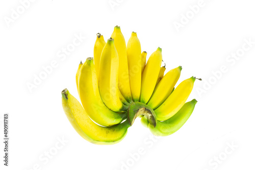 Cavendish Banana
