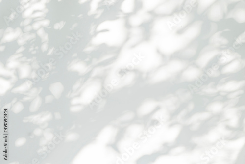 Tree shadow and leaf branch background. Nature leaves tropical jungle tree branch dark shadow and light from sunlight on white wall texture for background wallpaper, shadow overlay effect